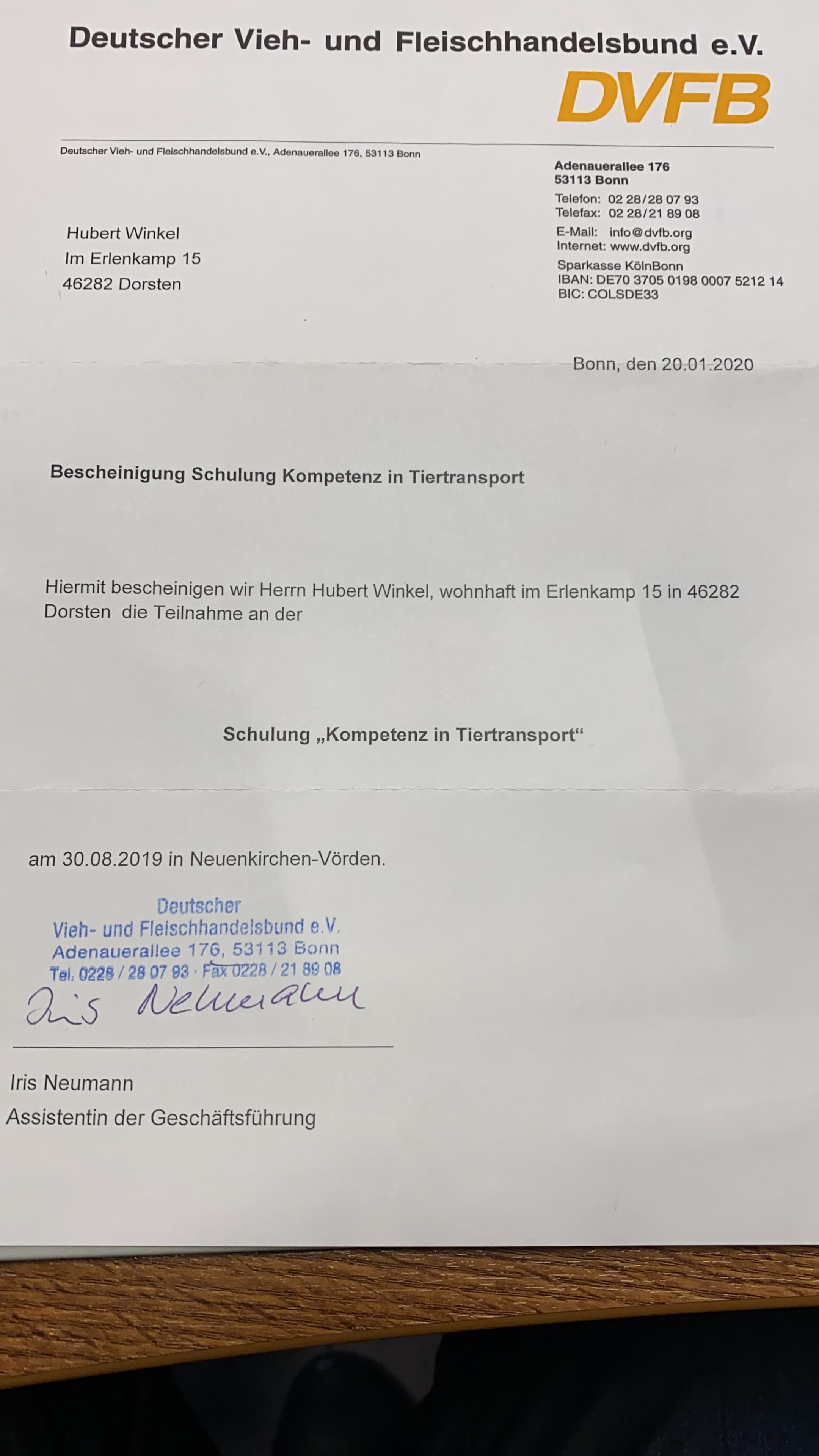 Vier Pferde schauen aus einem Winkel Pferdetransporter