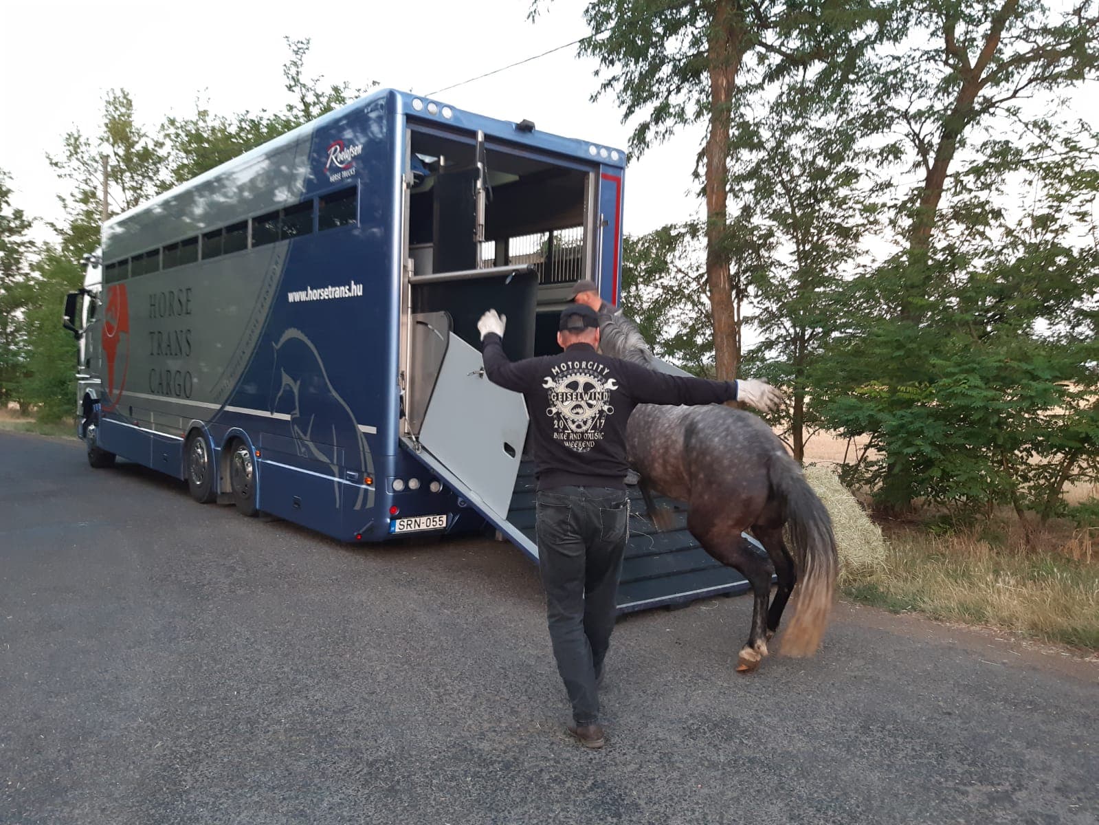 Tiertransport von Winkel – Foto 12