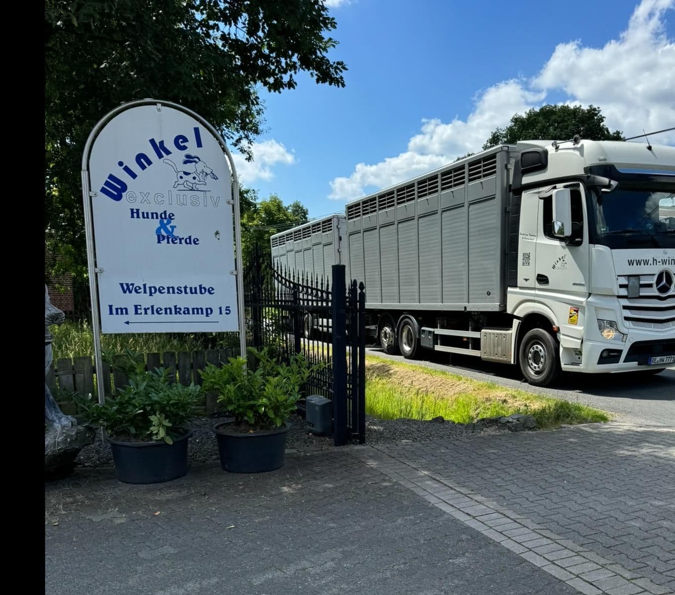 Winkel Viehtransporter