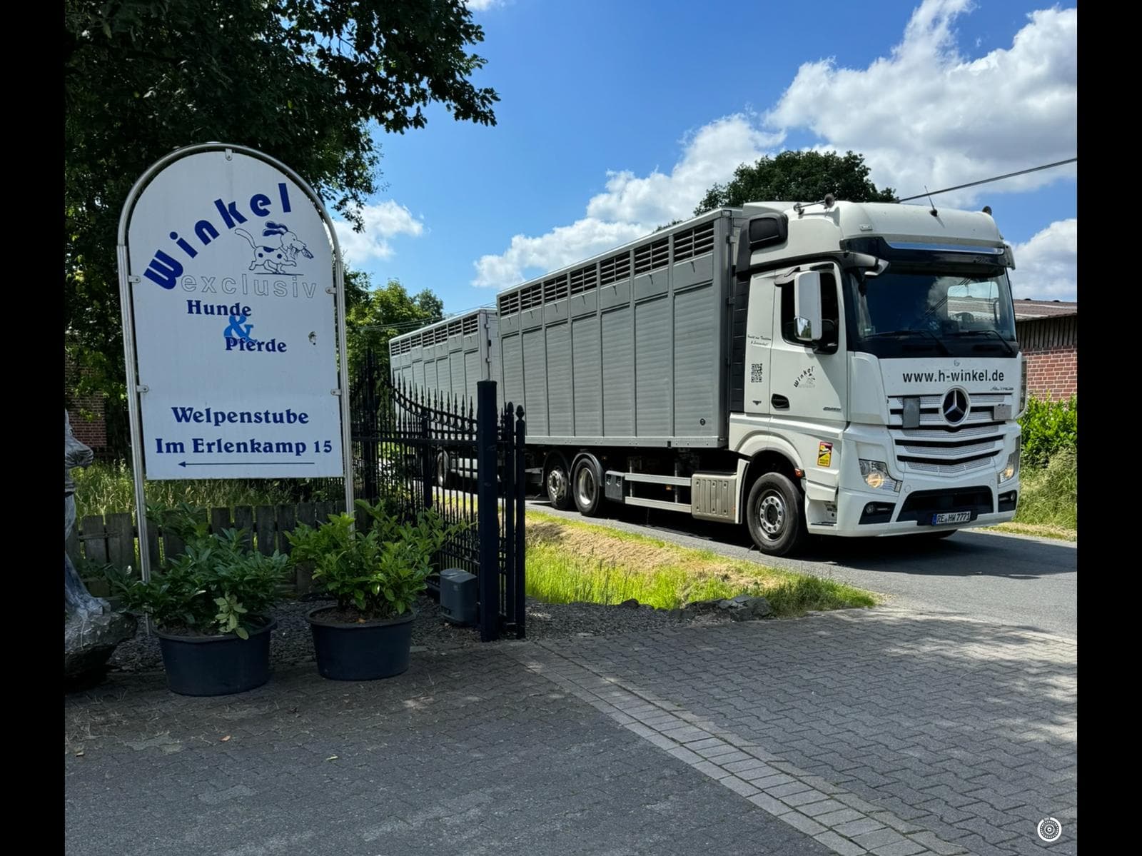 Winkel Viehtransporter