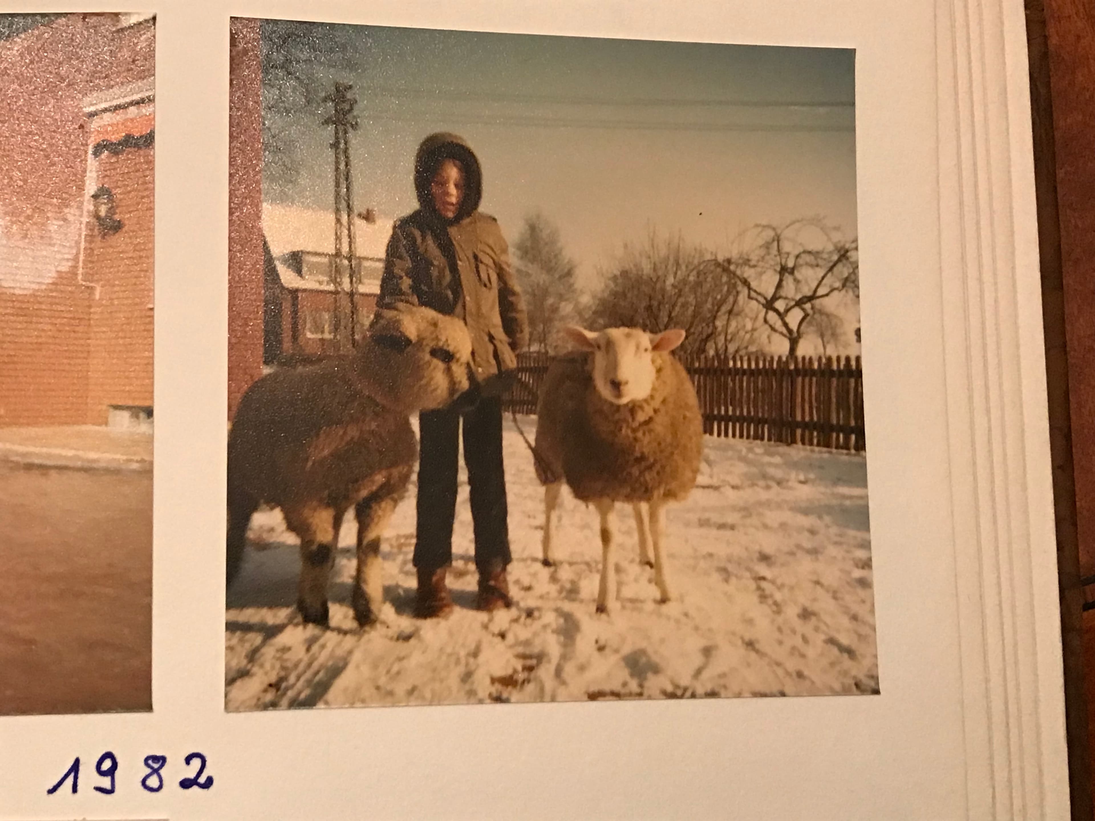 Der kleine Winkel sitzt allein auf einem weißen Pferd auf der Koppel